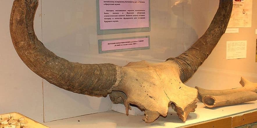 Основное изображение для события Экскурсия «Доисторические животные Якутии»
