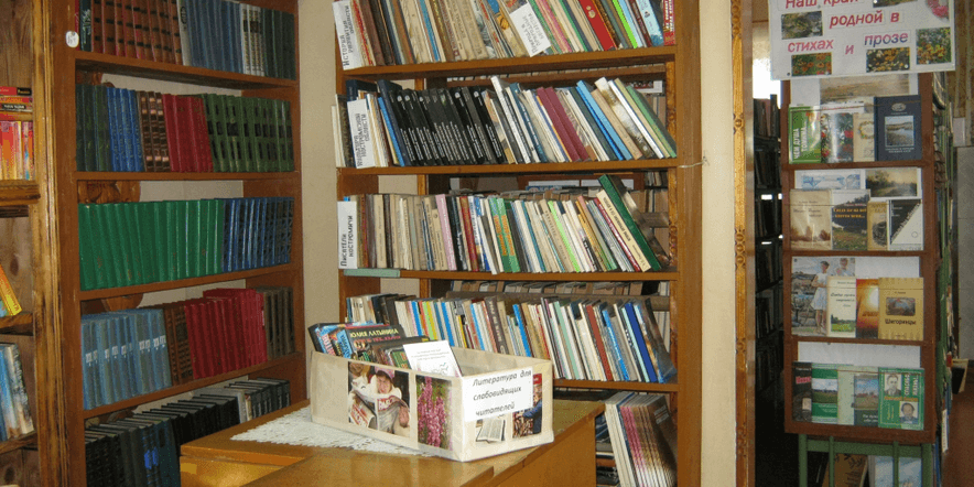 Основное изображение для учреждения Палкинская модельная библиотека