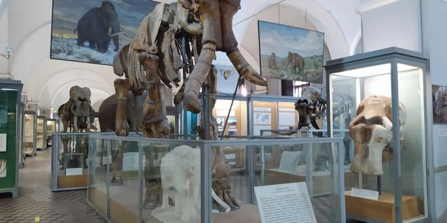 Основное изображение для события Экскурсия «Мамонты и мамонтовая фауна»