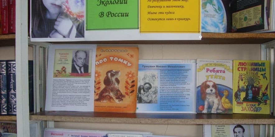 Основное изображение для учреждения Новосарбайская сельская библиотека