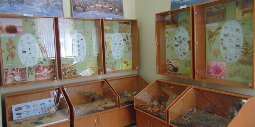 Основное изображение для события Экскурсия по залу природы Кореневского краеведческого музея