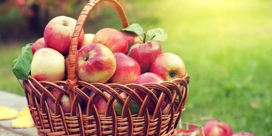Основное изображение для события Игровая программа «Яблочный Спас яблочко припас»