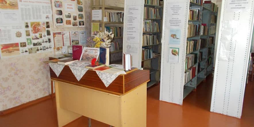 Основное изображение для учреждения Добро-Колодезская сельская библиотека