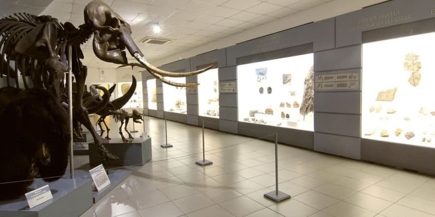 Основное изображение для события Экскурсия по экспозиции Музея природы