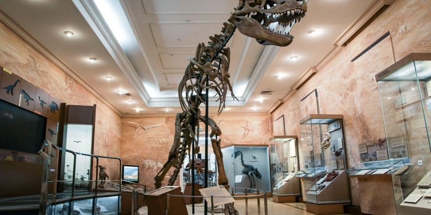 Основное изображение для события Тематическая экскурсия «Палеонтологическая прогулка: динозавры и Ко»