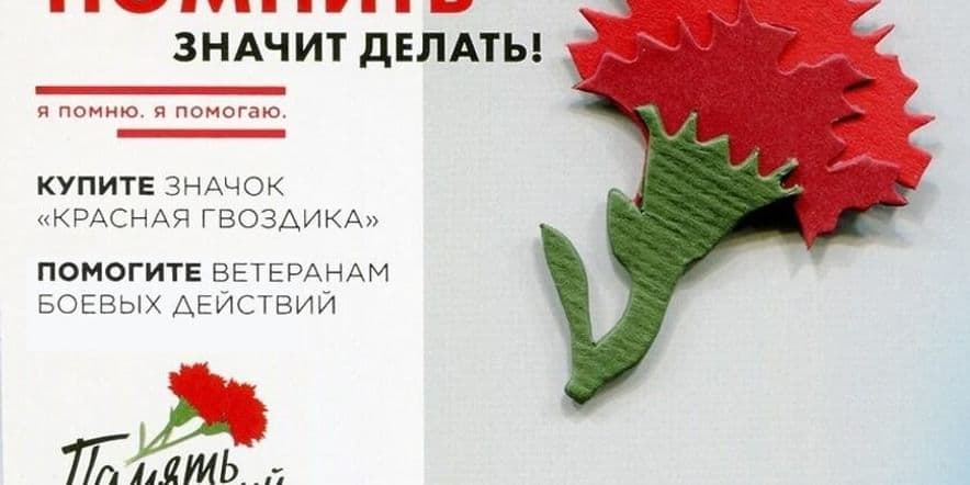 Основное изображение для события Всероссийская акция Красная гвоздика