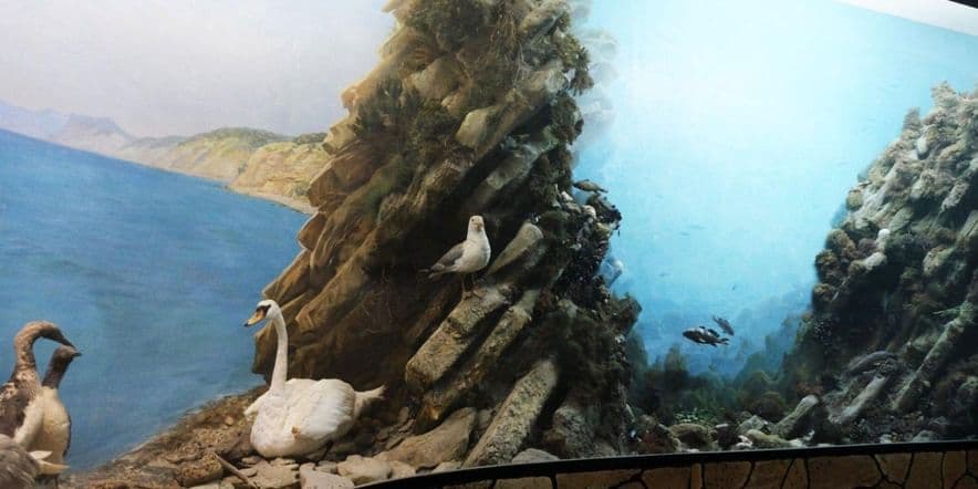 Основное изображение для события Экскурсия «Флора и фауна Черного моря»