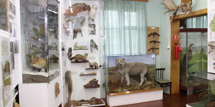 Основное изображение для события Выставка «Природа Томской области»