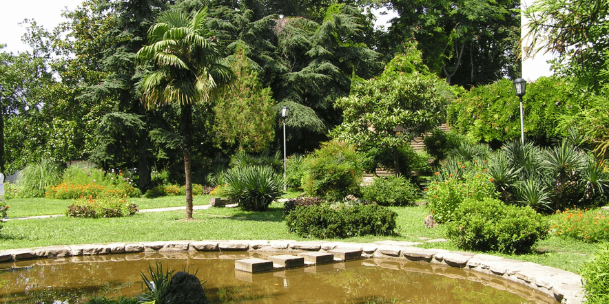 Основное изображение для учреждения Туапсинский городской парк культуры и отдыха