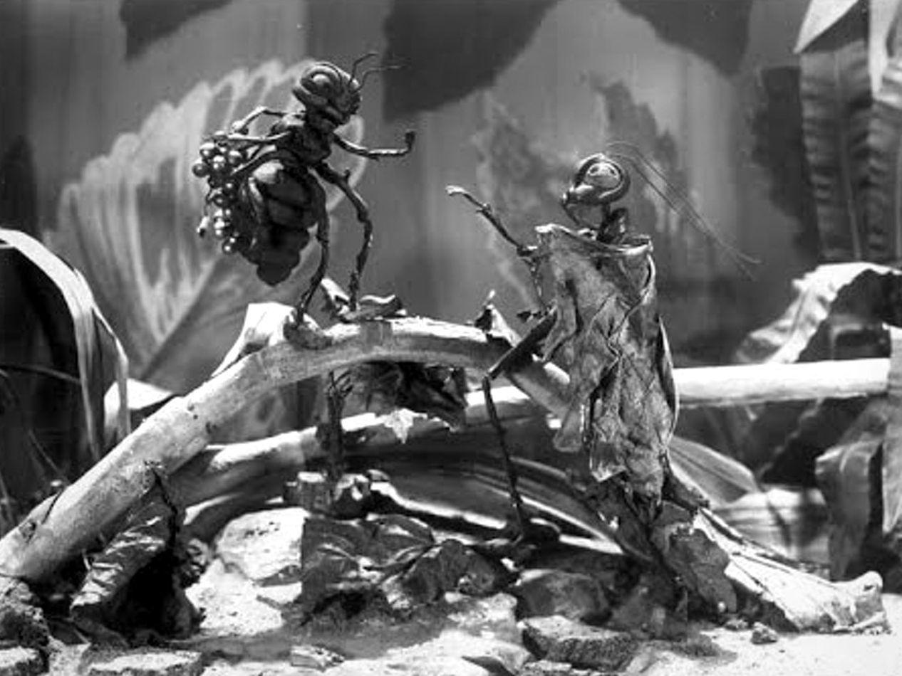 Кадр из анимационного фильма Владислава Старевича «Прекрасная Люканида, или Война усачей с рогачами» (1912)