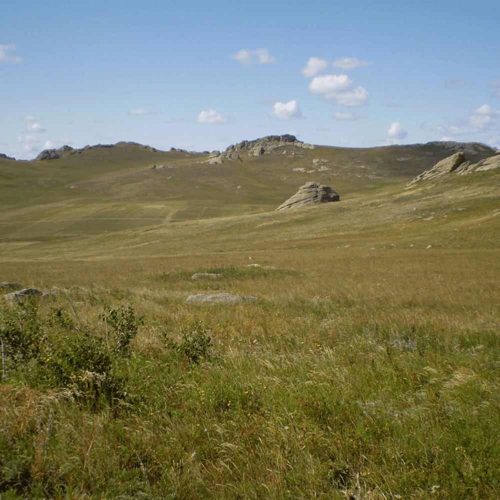 Даурия летом в солнечный день