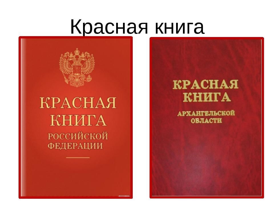 Красная книга д