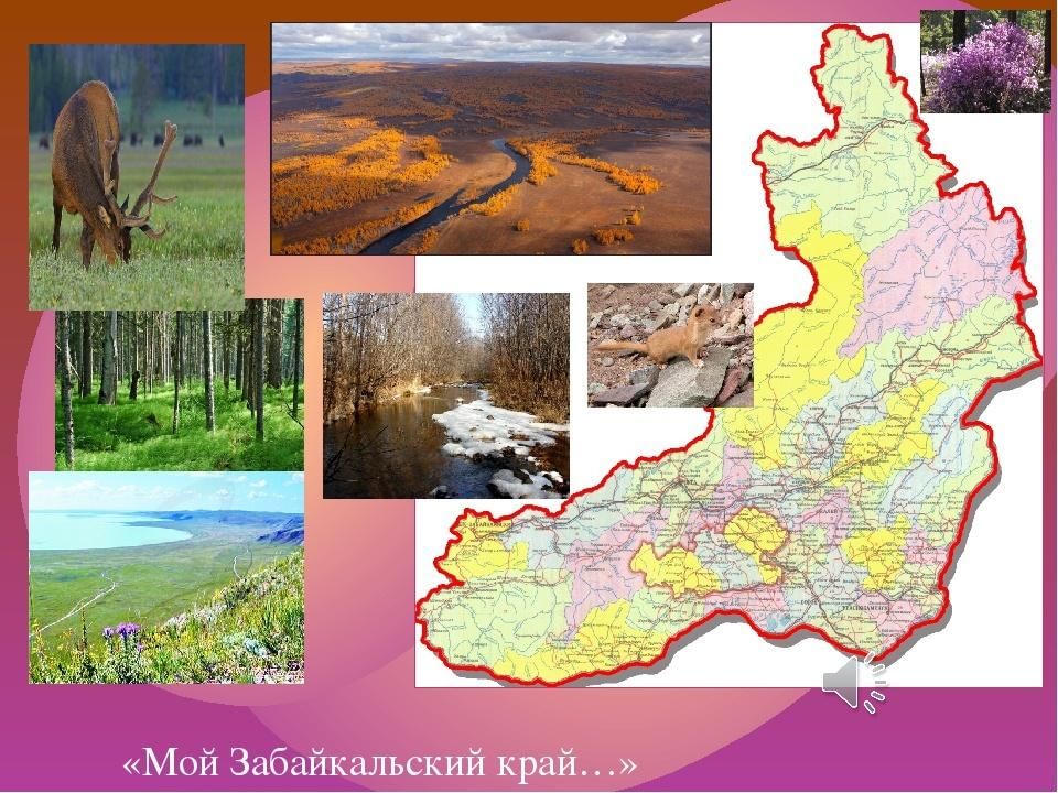 Чита столица забайкальского края презентация