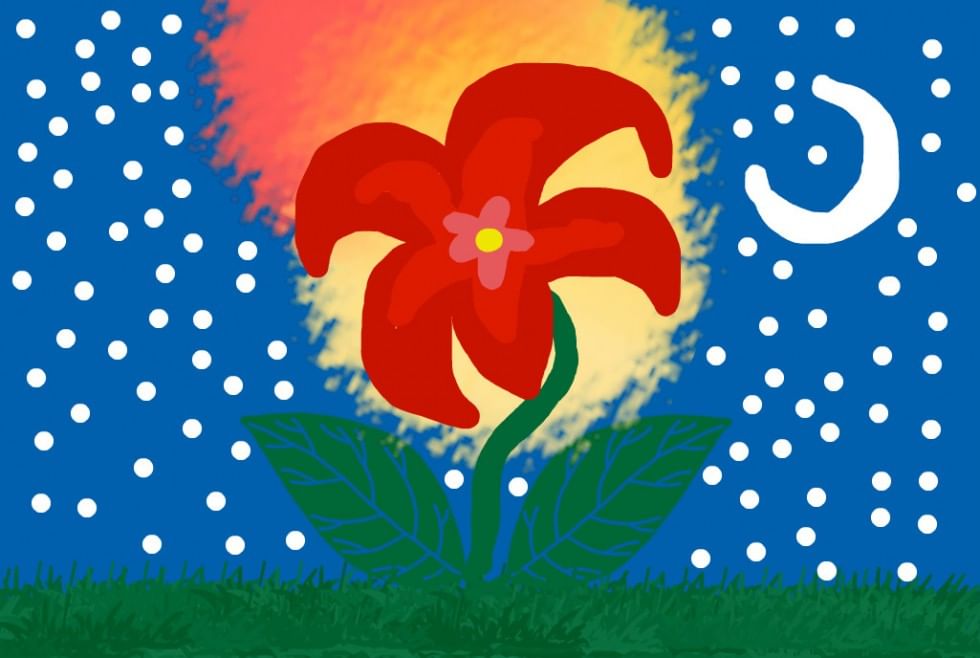 нарисовать рисунок к сказке аленький цветочек аксакова картинки каждая