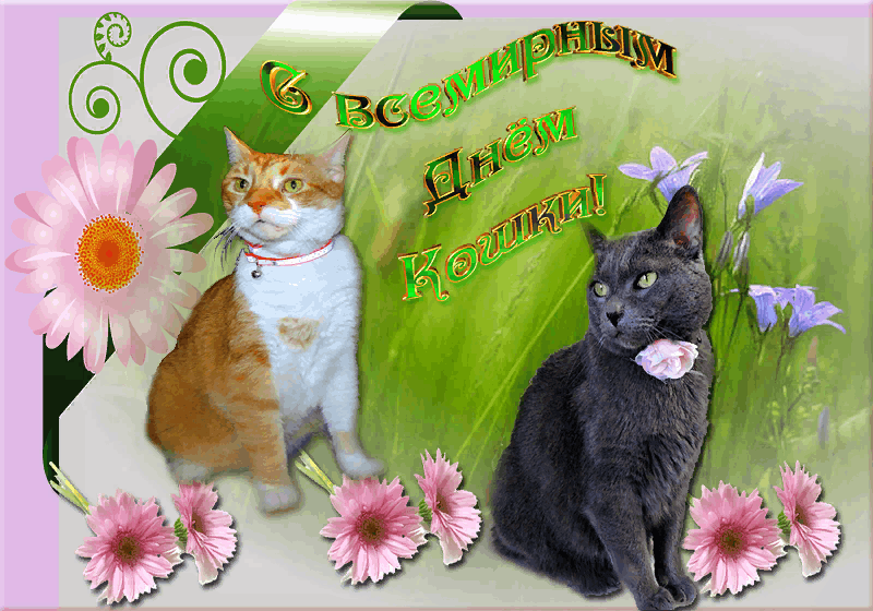 1 день весны и день кошек картинки. День кошек. День кошек открытки. Поздравление с днем кошек.