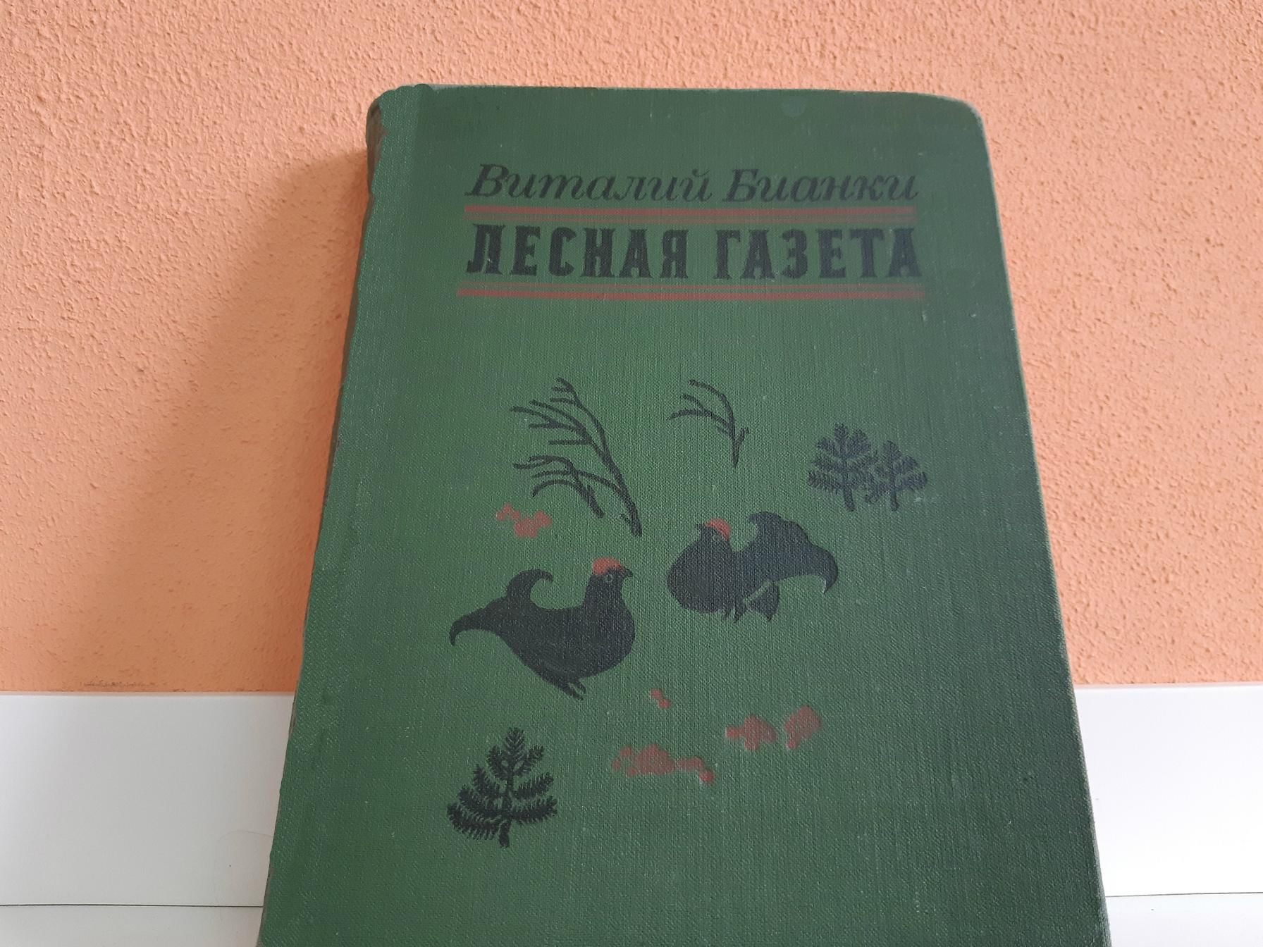 Лесная газета 1980
