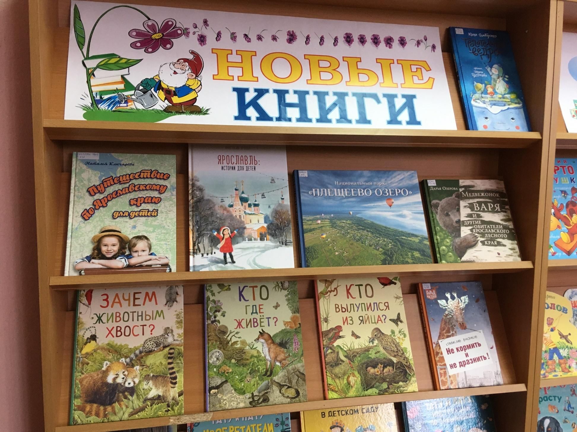 Презентация книжной выставки