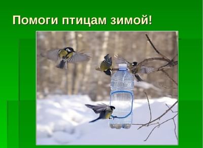 Проект как помочь птицам зимой 2 класс окружающий мир 2 класс