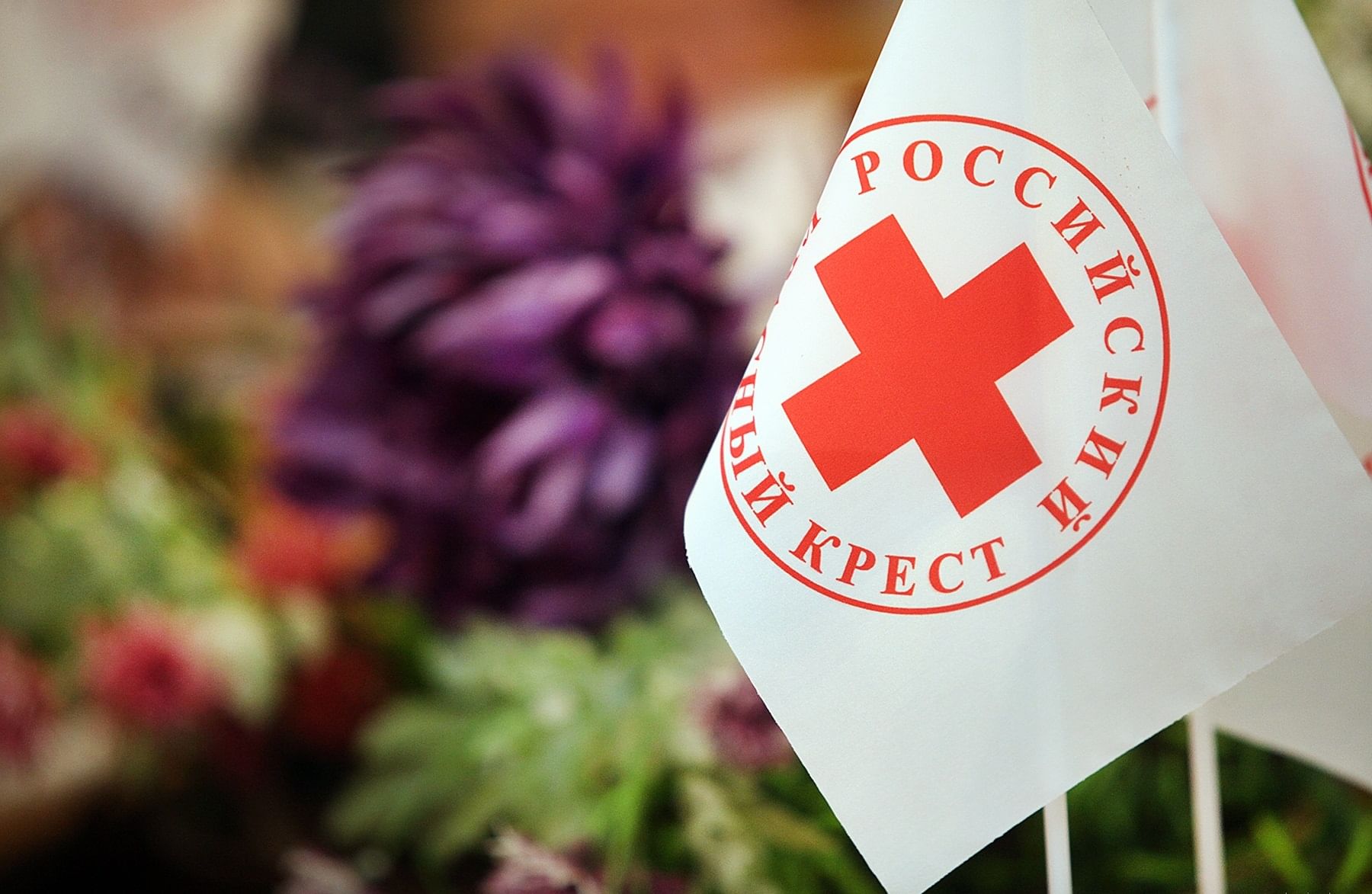 ФНС потребовала признать "Российский Красный Крест" банкротом