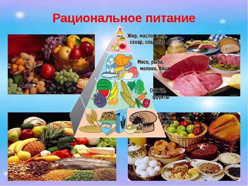 Аргументируйте необходимость разнообразия продуктов питания. Рациональное питание. Правильное рациональное питание. Иррациональное питание. Здоровое питание.