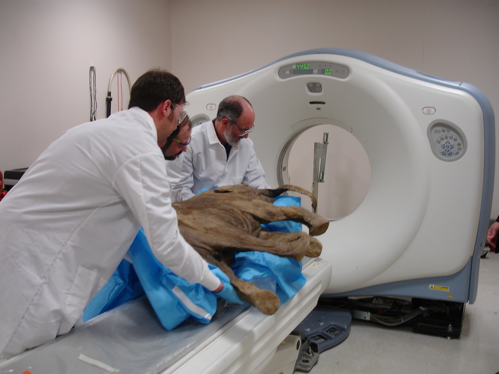 Магнитно-резонансная томография в США (г. Милуоки), 2010