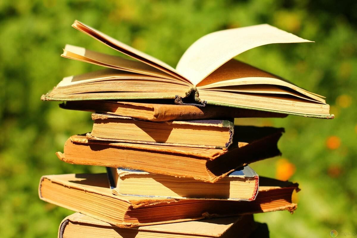Обзор литературы «Книга — это знания»